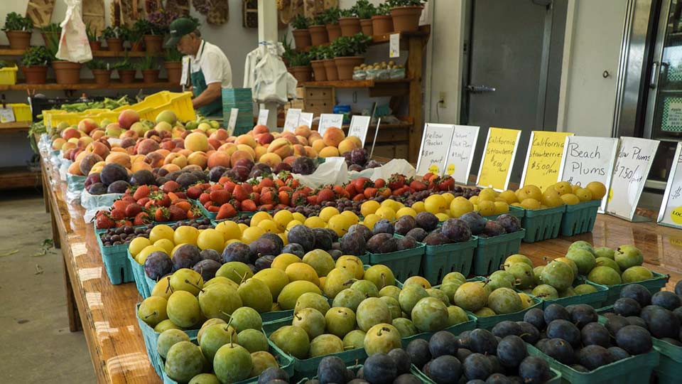 Farmers Market Fruits