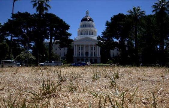 capitol-building-grass