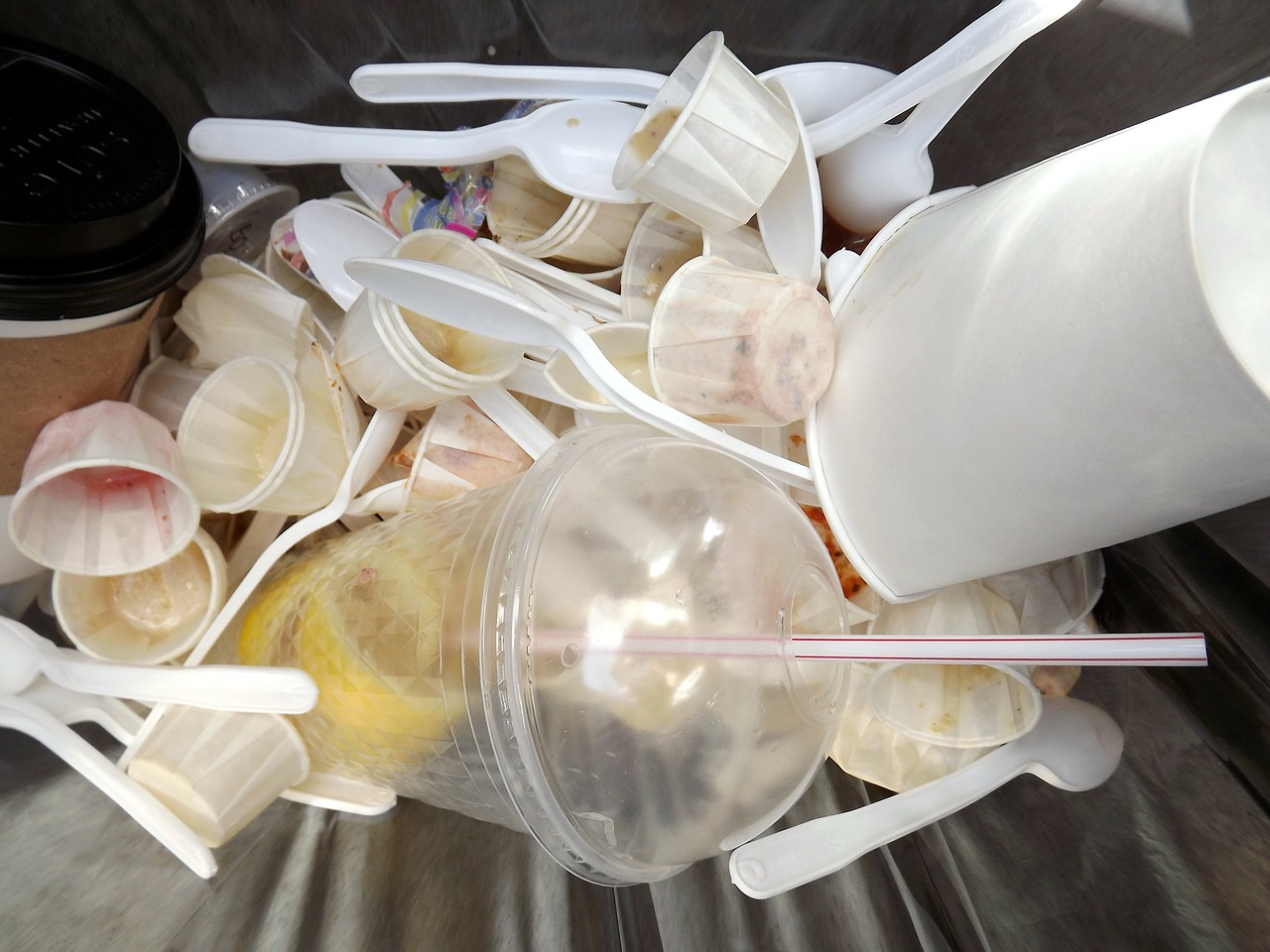 Takeout Containers (Plastic) - Santa Cruz Recycles